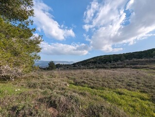 Fototapeta premium נוף כפרי 