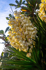 Rio de Janeiro em janeiro de 2024