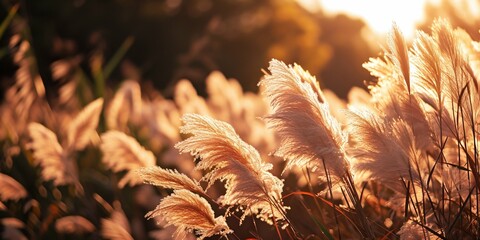 Sunlit Pampas Grass in Warm Tones. Generative ai - obrazy, fototapety, plakaty