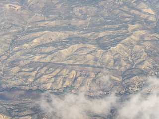 Fototapeta premium Aerial view of olive tree garden plantations in Spain, Andalusia, Andalucia