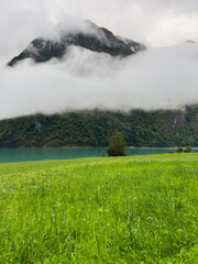 Autumn landscape in Briksdalbreen glacier valley in South Norway, Europe.