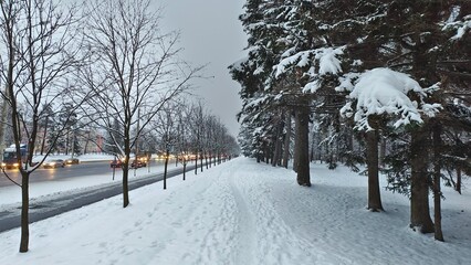 After the snowfall there is snow on the city streets. The sidewalks and roadways have been cleared by public utilities. Cars are driving. Along the streets are the buildings and trees of the park