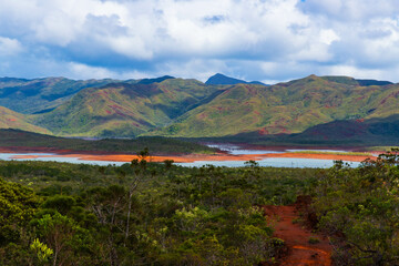 Fototapeta na wymiar Blue River Provincial Park (Parc Provincial de la Rivière Bleue), New Caledonia