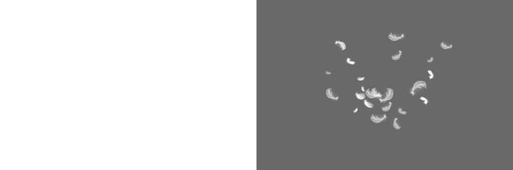 White feather isolated. Set feather isolated.
Feather fly fall in air on transparent background. Photoshop overlay, angel wing photo overlay