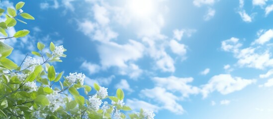 Obraz na płótnie Canvas view of bright blue sky with sunlight