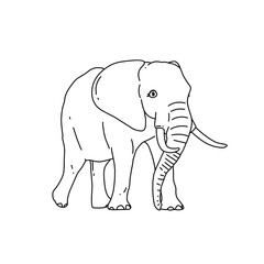 line art elephant 