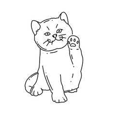 Line art cat