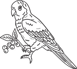 Monk Parakeet Bird Isolated Coloring Page for Kids