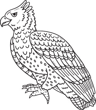 Martial Eagle Bird Isolated Coloring Page for Kids