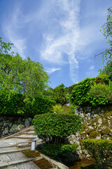 圓光寺の境内の新緑の風景