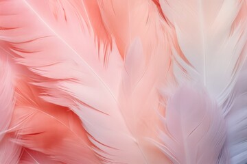 Fototapeta na wymiar Almond pastel feather abstract background texture 