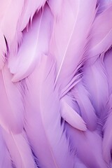 Fototapeta na wymiar Amethyst pastel feather abstract background texture