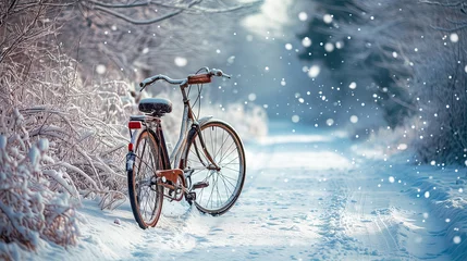 Dekokissen bicycle in the snow © sam richter