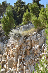 Mediterranean Landscape with Pine Trees and Rocky Cliff