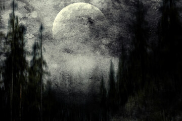 Night in the forest, scary landscape, horror wallpaper - 707825228