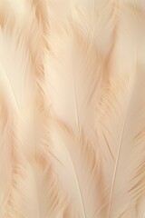 Beige pastel feather abstract background texture
