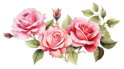 watercolor painting Roses with buds and petals on white background, valentines day concept  - obrazy, fototapety, plakaty
