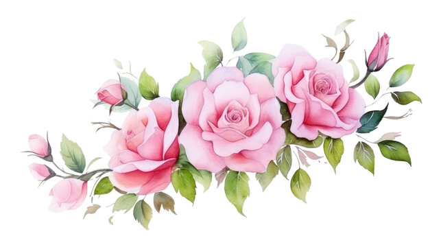 watercolor painting Roses with buds and petals on white background, valentines day concept 