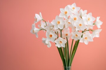 Bouquet of white narcissus on a coral colored backdrop isolated pastel background 