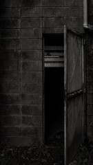 Fototapeta na wymiar old door in the dark, ancient door, old door, horror, open door in the dark