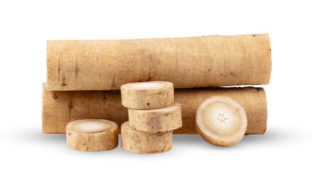 burdock roots or kobo isolated on transparent png