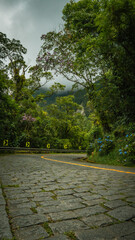 river in the park, old road in the forest, old path, brick road, nature