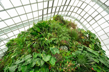 Cloud Forest dome environment at Gardens by the Bay  in Singapore