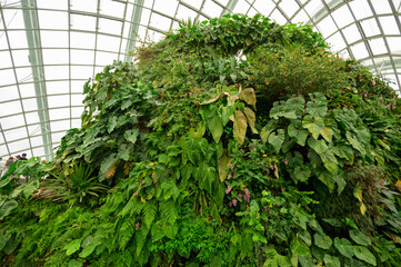 Cloud Forest dome environment at Gardens by the Bay  in Singapore