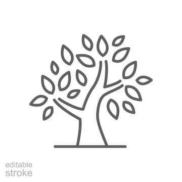 Stylized tree icon. Simple outline style. Growth branch, leaves, trunk, vintage concept. Thin line symbol. Vector illustration isolated. Editable stroke.