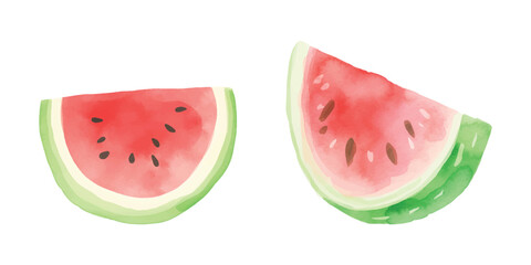 cute watermelon watercolor vector illustration