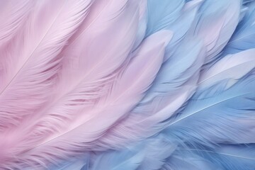 Fototapeta na wymiar Cobalt pastel feather abstract background texture 