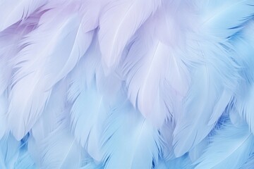 Fototapeta na wymiar Cobalt pastel feather abstract background texture 