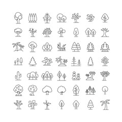 Fototapeta premium Tree icon set. Simple outline style. Forest, park and garden trees, nature concept. Thin line symbol. Vector illustration isolated.