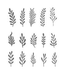 A collection of black and white vector silhouettes of flowers and leaves for design and decoration.