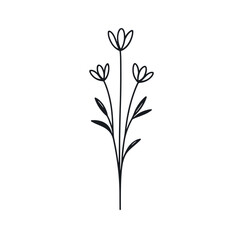 Black and white vector illustration of a flower with three buds and leaves, ideal for elegant designs and decor.