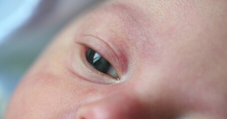 Newborn baby macro eye in first day of life observing and learning about the world