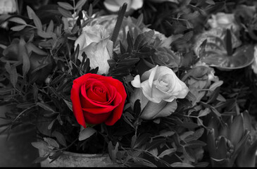 Funeral rose and calla flowers bouquet arrangement. Mourning background. Grief, memorial, sorrow, loss concepts. Selective focus. Retro toned vintage red black white aged photo. - Powered by Adobe