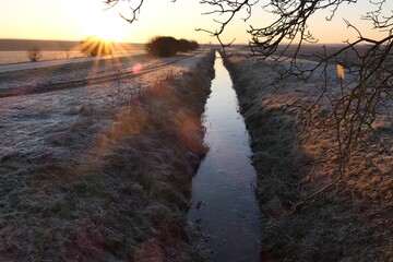 Winter morning landscape above agricultural water management channel, sunrise touches frozen grass around, framed above by branches of naked broadleaf tree. 