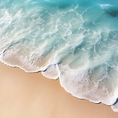 Fototapeta na wymiar shells on the beach, Beach with waves