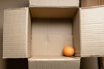 Egg at the bottom of a cardboard box