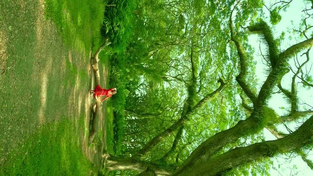 Woman in a red dress is sitting through a fabulous rainforest in De Djawatan forest at Banyuwangi, East Java, Indonesia. Vertical drone video.