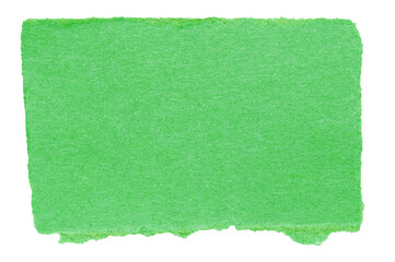Single piece of isolated ripped blank green paper with rough edges and copy space for text on white...