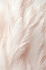 Ivory pastel feather abstract background texture