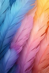Jet pastel feather abstract background texture