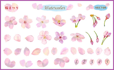 水彩手描きの桜の花、つぼみ、花びらのフレーム、アイコン素材セット　ベクターイラスト　白バック、白背景、単独