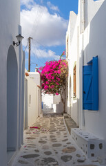 Narrow cobblestone street with begonias in Greek Island, Paros.