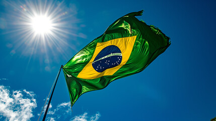 Fototapeta na wymiar Brazil's flag