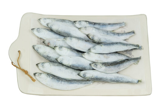 Raw smelt on white background. Iced Fish. Ready to cooking. Frozen fish.