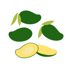 Bunch of fresh green mango. Flat vector illustration isolated on white background.