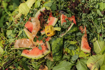 Compost pile in garden closeup macro. Bio waste, vegetables fruits scraps close up. Zero waste...